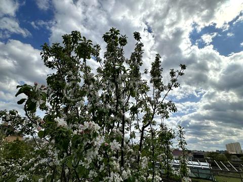 будинок за адресою Жулянська вул., 15