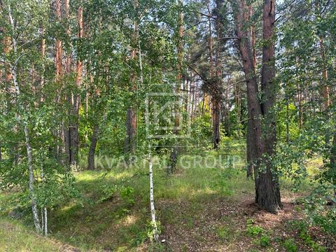 ділянка за адресою Гостомельське шосе