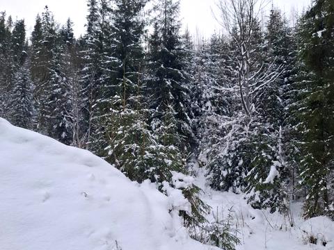 участок по адресу 