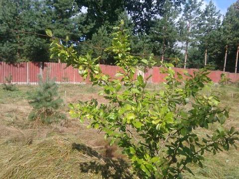 дом по адресу Свободи вул., 4