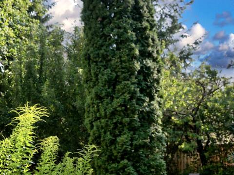 будинок за адресою Самокиша вул.