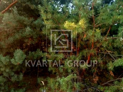 ділянка за адресою Університетська вул., 1-Ш