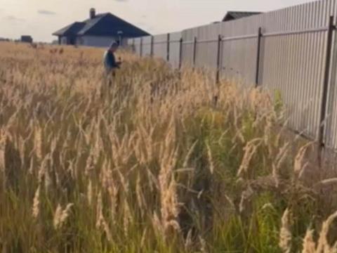 участок по адресу с. Софиевская Борщаговка, 