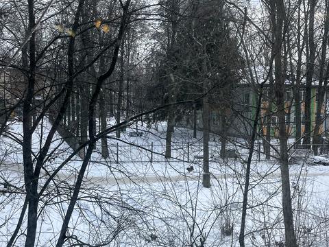 квартира за адресою Академіка Шалімова вул. (Героїв Севастополя), 36