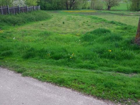 ділянка за адресою провулок Шевченка