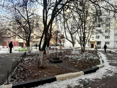 квартира за адресою Мальовнича вул. (Скворцова), 2