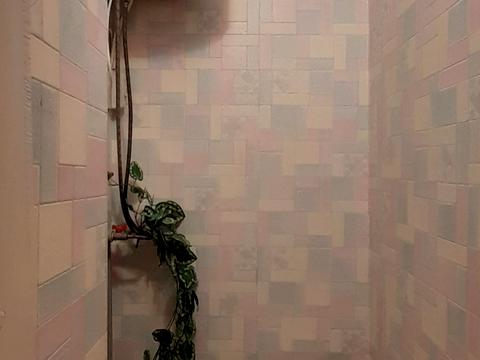 квартира за адресою Мальовнича вул. (Скворцова), 2