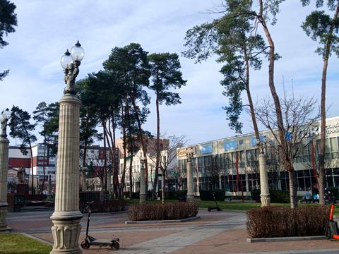 будинок за адресою Центральна вул. (Чапаєва)