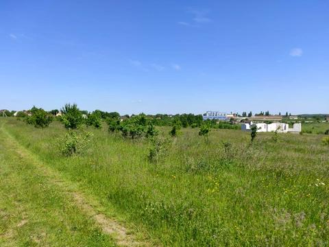 ділянка за адресою Польова