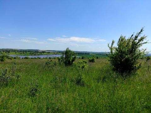 ділянка за адресою Польова