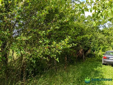 ділянка за адресою СТ Кристал