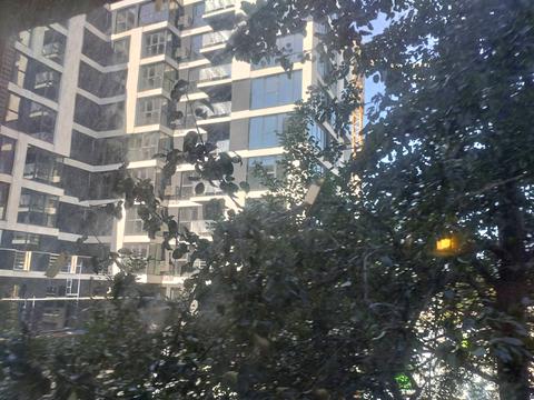 кімната за адресою Родіона Скалецького вул., 33