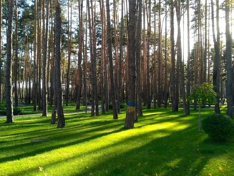 квартира за адресою Університетська вул., 3/11