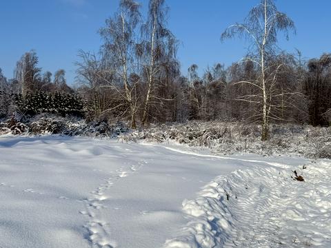 участок по адресу с. Горбовичи, 
