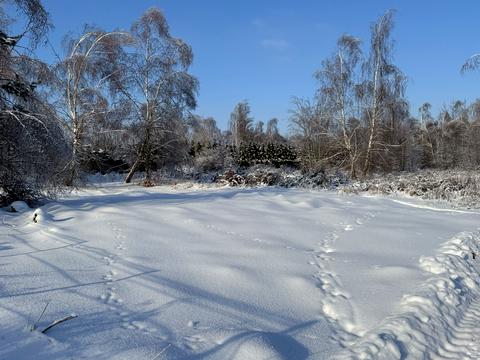 участок по адресу с. Горбовичи, 