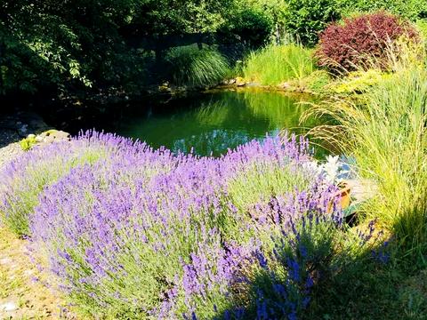 будинок за адресою Ужгородська вул.