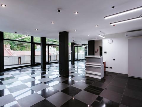 комерційна за адресою Київ, Олеся Гончара вул., 9