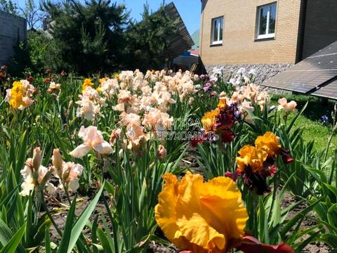 дом по адресу Лесі Українки, 21