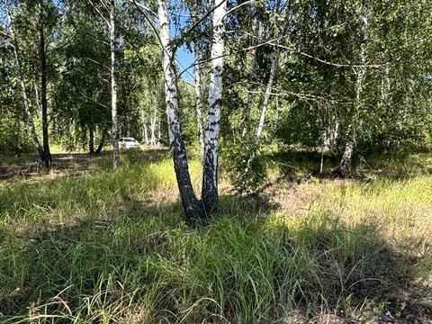 ділянка за адресою Ірпінська