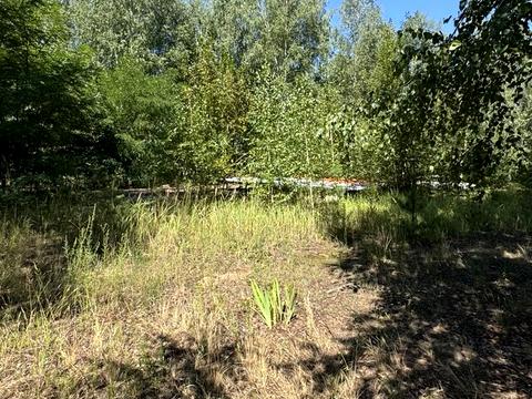 ділянка за адресою Ірпінська