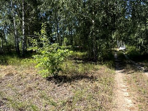 ділянка за адресою Ірпінська