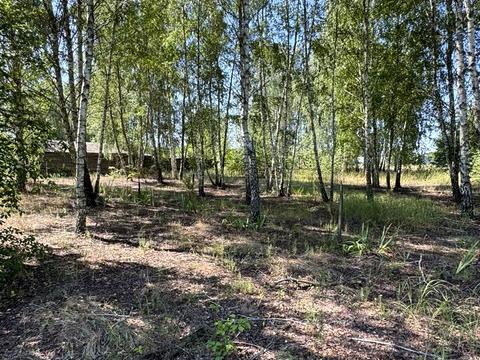 ділянка за адресою Ірпінська