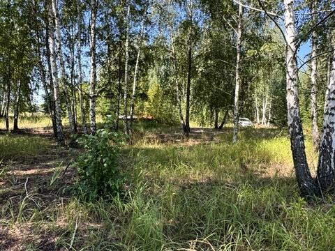 участок по адресу Ірпінська