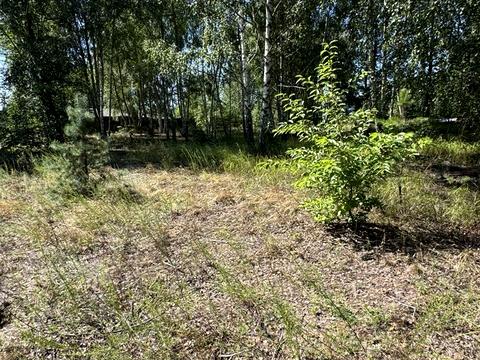участок по адресу Ірпінська