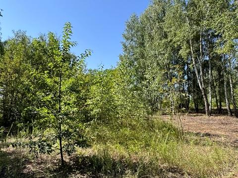 участок по адресу Ірпінська