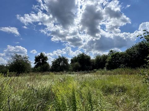 ділянка за адресою Зелена Долина