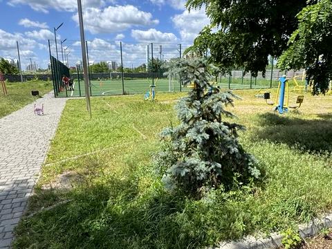 участок по адресу Шевченко ул.