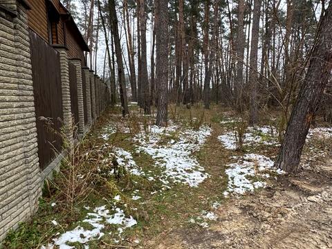 участок по адресу Льва Толстого