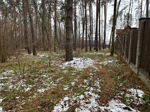 участок по адресу Льва Толстого