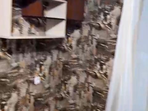 квартира за адресою Героїв УПА вул. (Гвардійська), 12