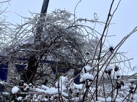 будинок за адресою Миколи Петровського вул.