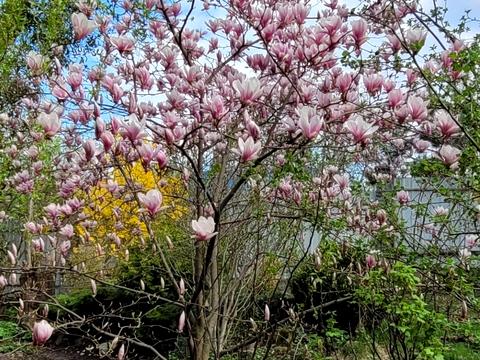 квартира по адресу Кривчицкая Дорога ул., 35