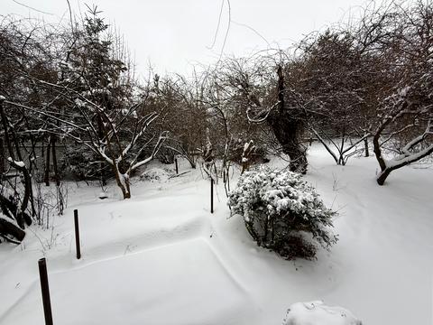 квартира по адресу Кривчицкая Дорога ул., 35