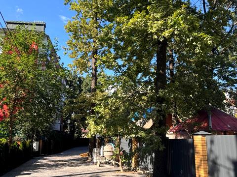 дом по адресу 1-й Український пров.