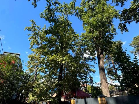 дом по адресу 1-й Український пров.