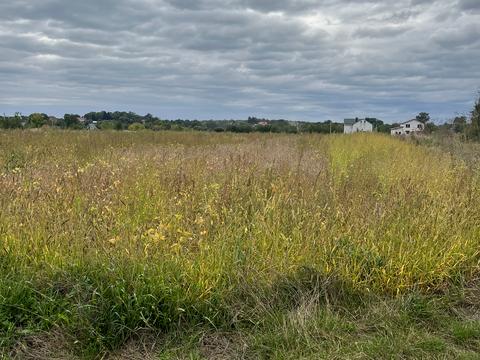 ділянка за адресою Зарічна