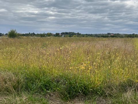 ділянка за адресою Зарічна