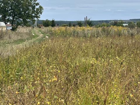 ділянка за адресою Зарічна