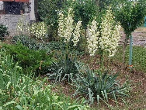 квартира по адресу Владислава Бувалкина ул. (Бочарова Генерала), 61-А