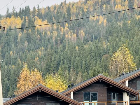 дом по адресу Карпатская ул.