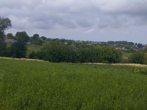 ділянка за адресою розсошанська