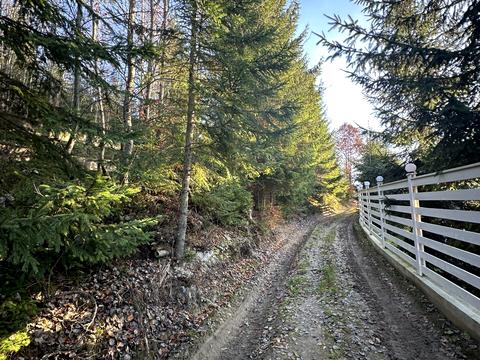 участок по адресу  ул.