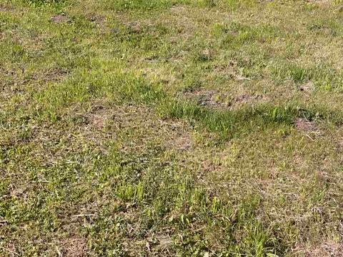 участок по адресу Шестакова