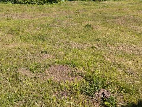 участок по адресу Шестакова