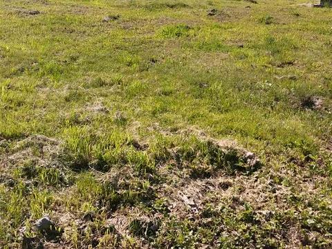 участок по адресу Шестакова