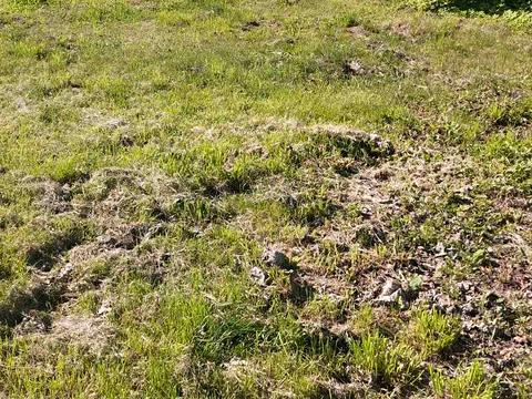 участок по адресу Шестакова